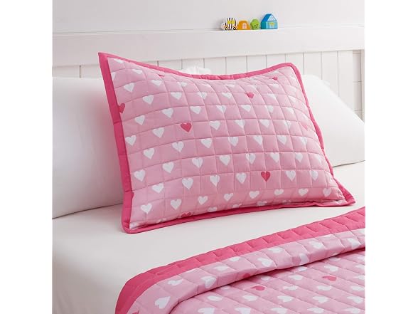 Amazon Basics Kids Cotton Reversible Sham