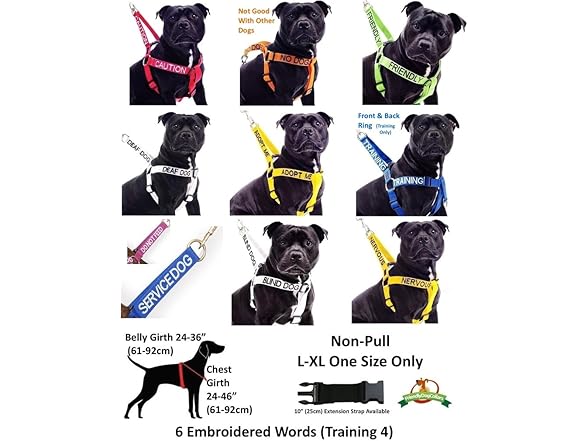 NO Dogs Dexil Friendly Dog Collars