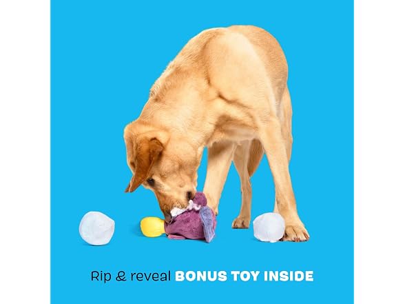 Barkbox Drongo Platypus Dog Toy | Plush Rip & Reveal