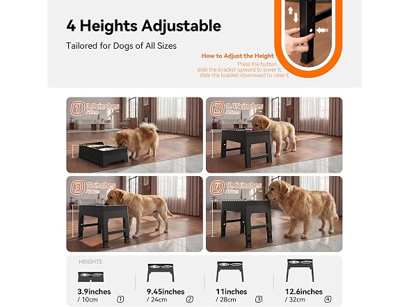 CZPET Elevated Dog Bowls Stainless