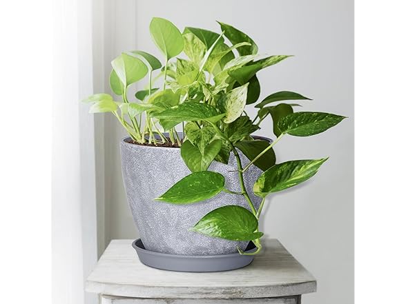 lokeisna Set of 8 Plastic Planter