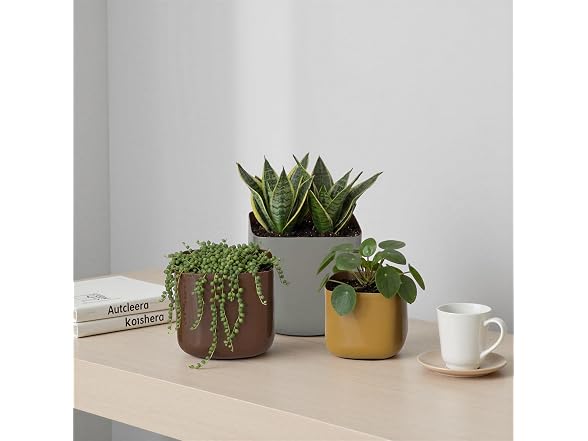 3-Piece Enameled Metal Square Planters