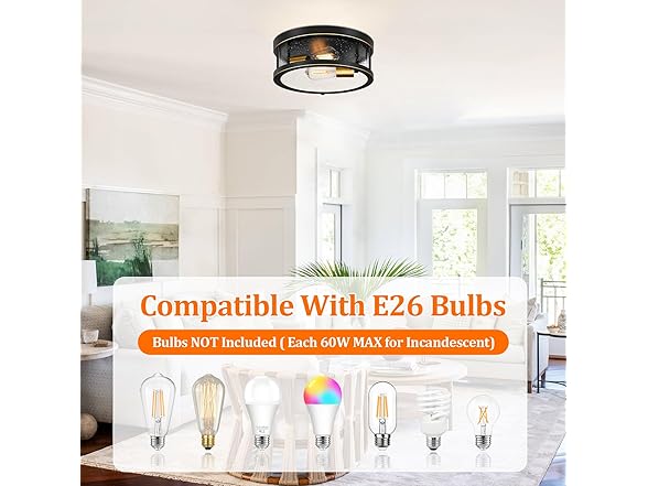 Brightever Flush Mount 2-Light Fixture