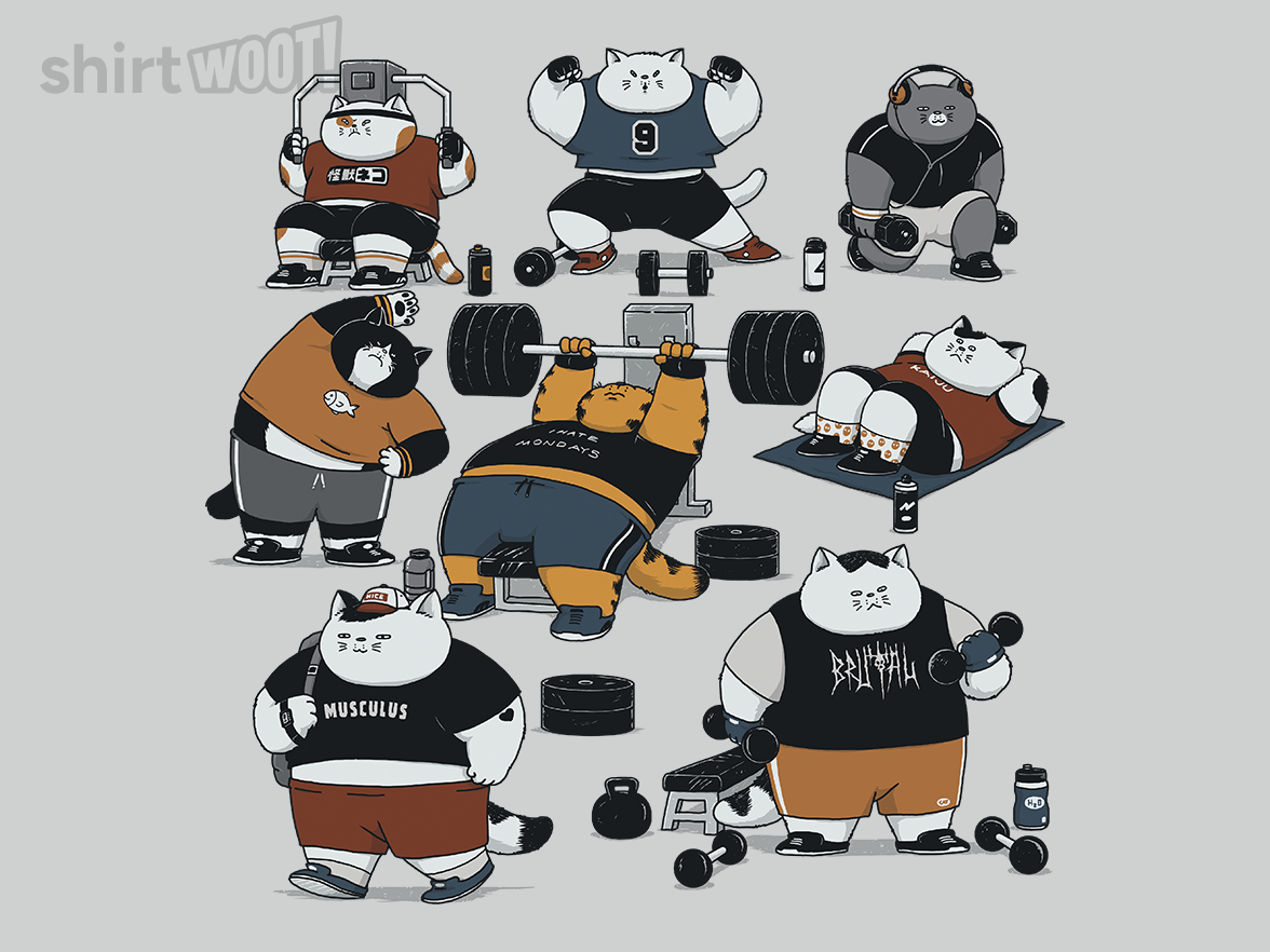 Cat Gym - Gallery 4