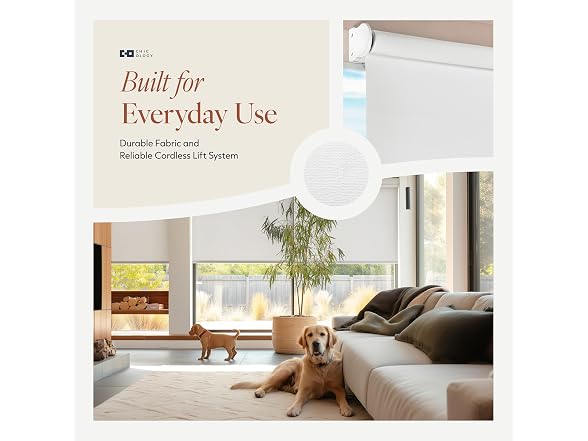 CHICOLOGY Cordless Roller Shades for Windows 67"W x 72"H