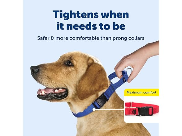 PetSafe Martingale Quick-Snap Dog Collar, Re
