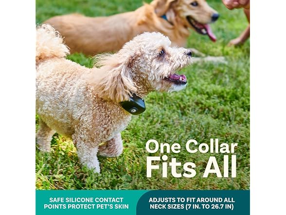 PetCove PawGuard 2-Dog Wireless Dog Fence & Training Collar