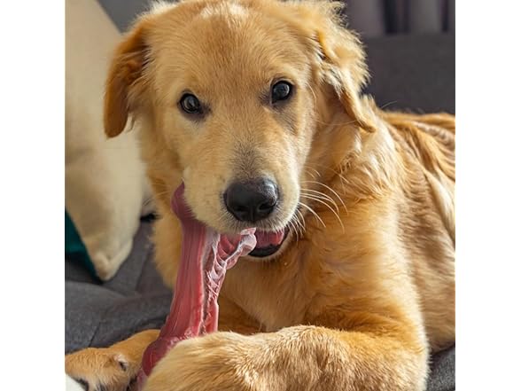 Dog Toys Aggressive Chewers Simulated Bone Dog Toys