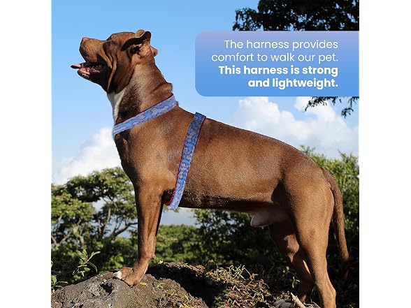 Dog Harness for Puppies, Make Your Walks Eas