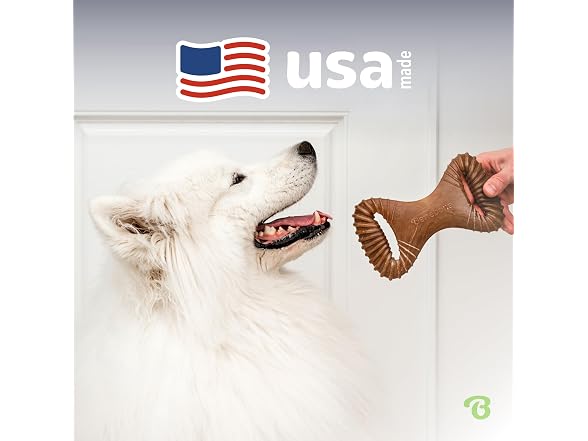 Benebone Benebone Dental Durable Dog Chew Toy