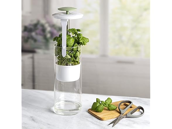 Goodful Herb Keeper Preserver