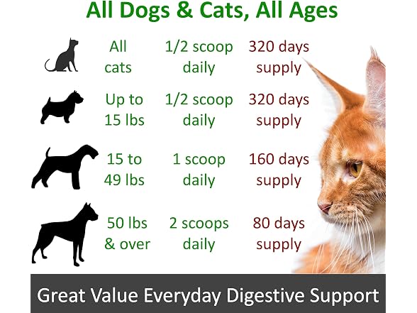 TummyWorks Probiotics for Dogs and Cats.