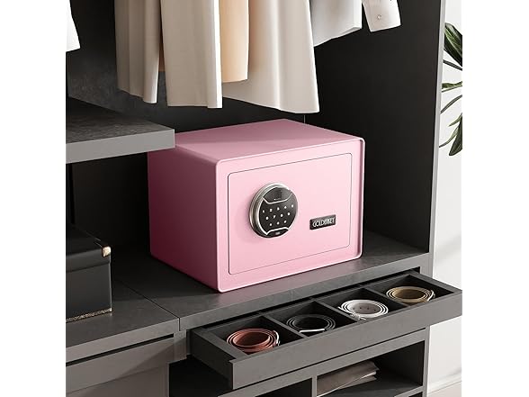 GOLDENKEY Fingerprint Safe