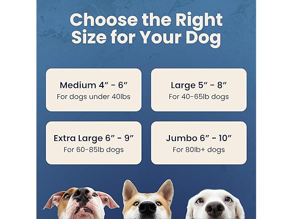 The Proper Hound Split Elk Antlers