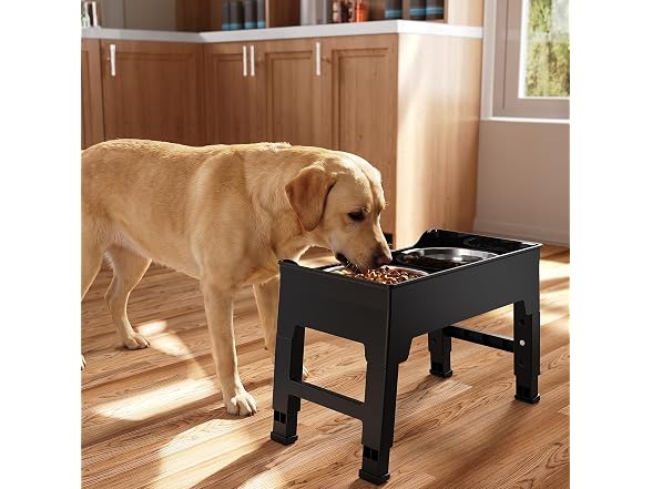 CZPET Elevated Dog Bowls Stainless