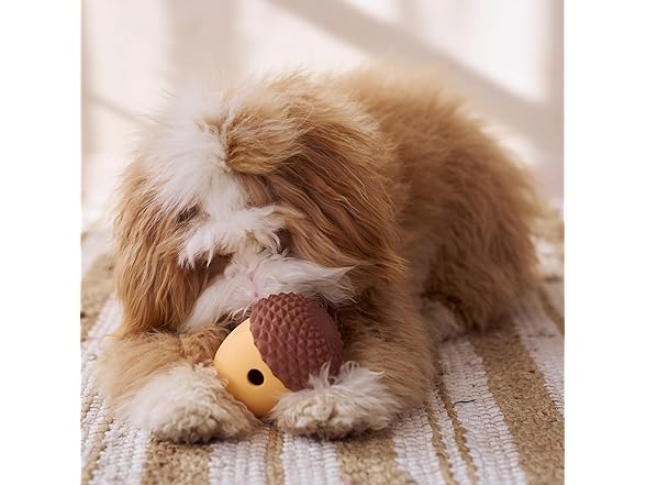 SPOT Treat Tumbler Acorn – Freezable & F