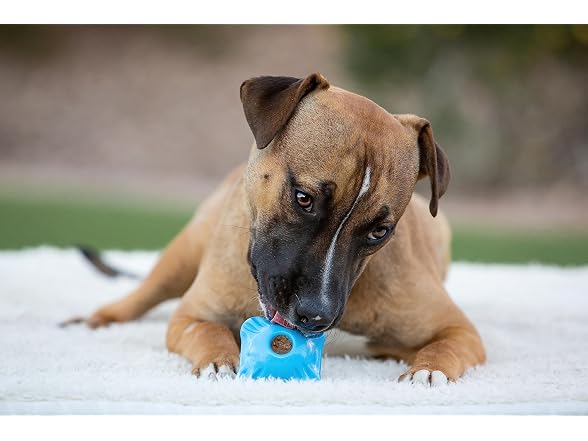 Jolly Pets Flex-N-Chew Squarble Dog Toy, Sma