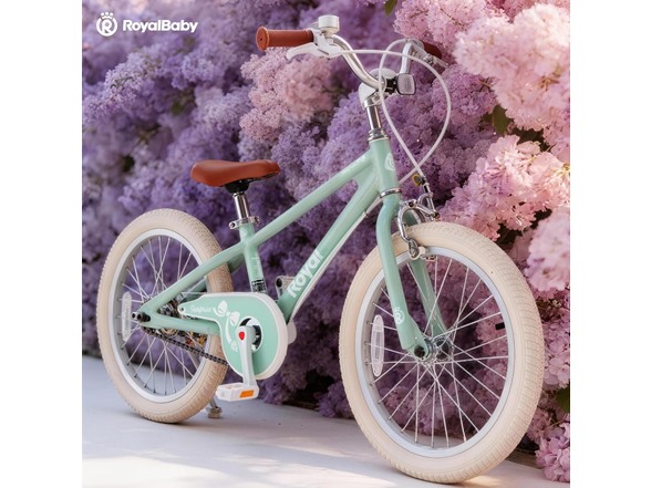 RoyalBaby EZ Kids Bike,18 Inch Convertible Balance to Pedal Bike