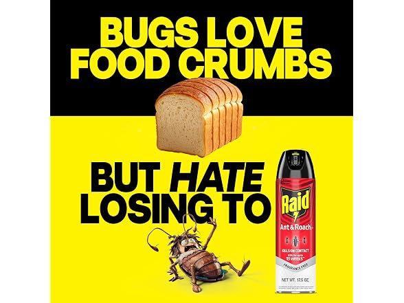 Raid GAR-95 Ant & Roach Killer, 2 Count