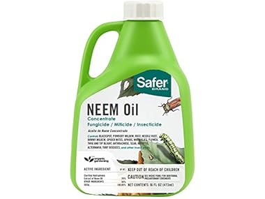 $14.99, Was $19.99, 25% Off! Neem Oil Concentrate for Plants dealfomo