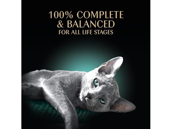 24CT Sheba Perfect Portions Wet Cat Food Cuts