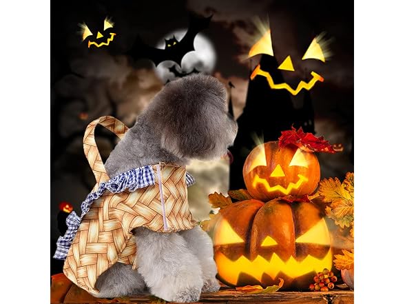 Basket Dog Costume Halloween Costumes Small - Gallery 2