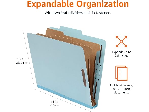 Amazon Basics Amazon Basics Classification Folder