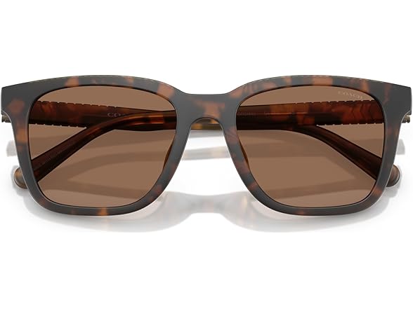 COACH Men's Sunglasses HC 8426 U