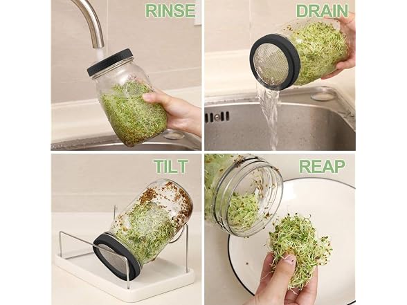 Kitmiido Organic Seed Sprouting Kit