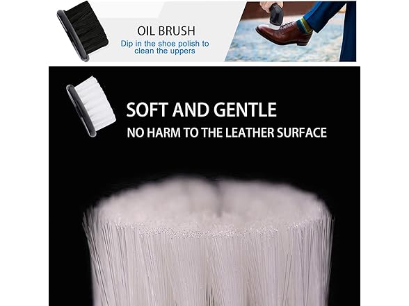 Electric Shoe Shine Kit