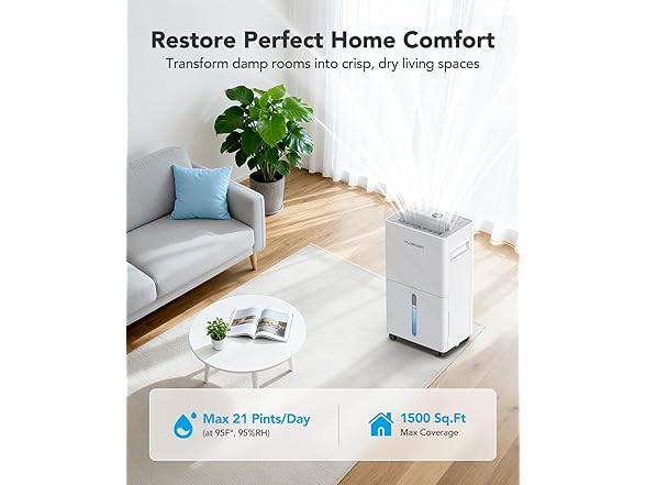 PLUSCENT Dehumidifier for Basement
