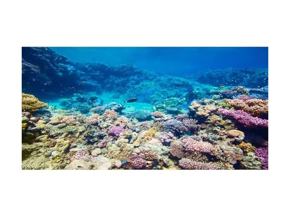 AWERT Aquarium Background Coral Ree