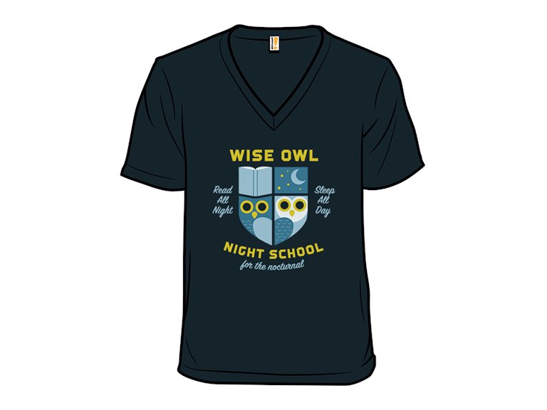 Wise Owl Night School