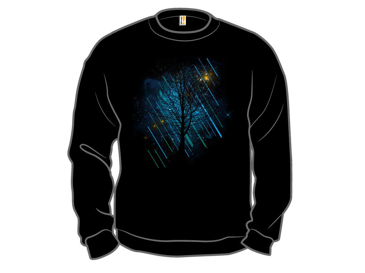 Northern Night - Gallery 11