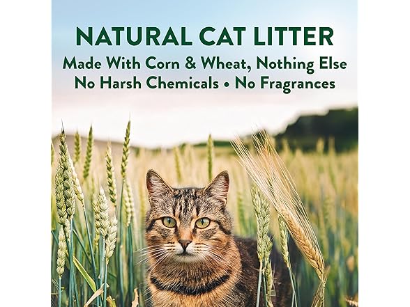 ARM & Hammer Plant Power Lightweight Plant-Based Litter