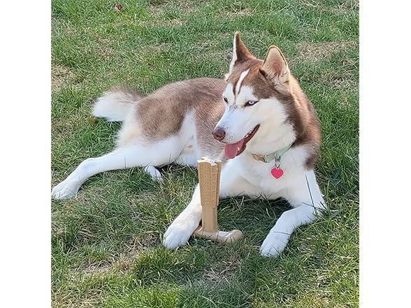 SPOT Bam-Bones Plus Coffee Wood T-Bone Dog Chew Toy