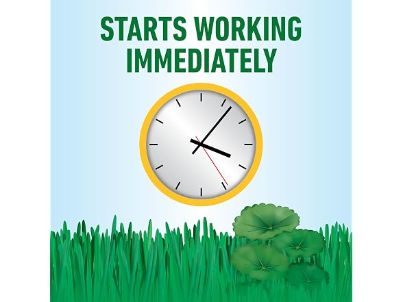 Roundup for Lawns Concentrate,  32 fl. oz.
