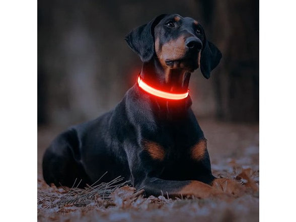 Milex LED Light-Up Luminous Collar