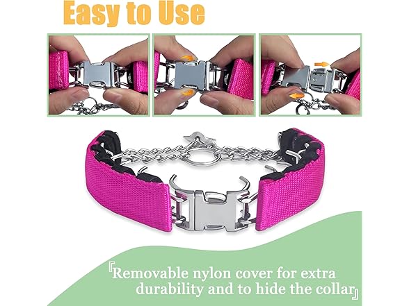 HAESINPA Prong Training Collar for Dogs