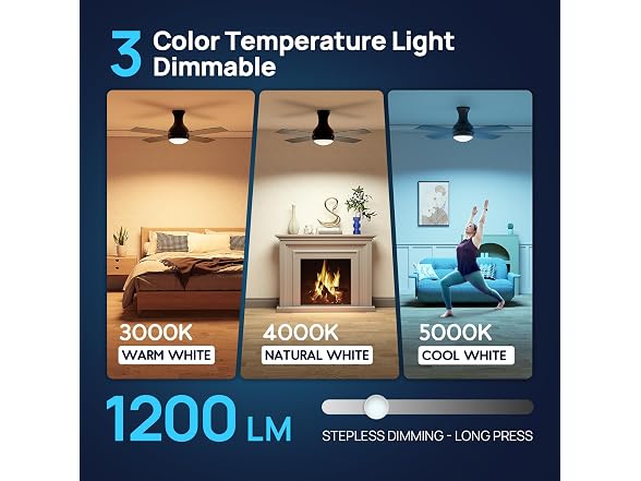 Consciot 52 Inch Black Ceiling Fan with Lights