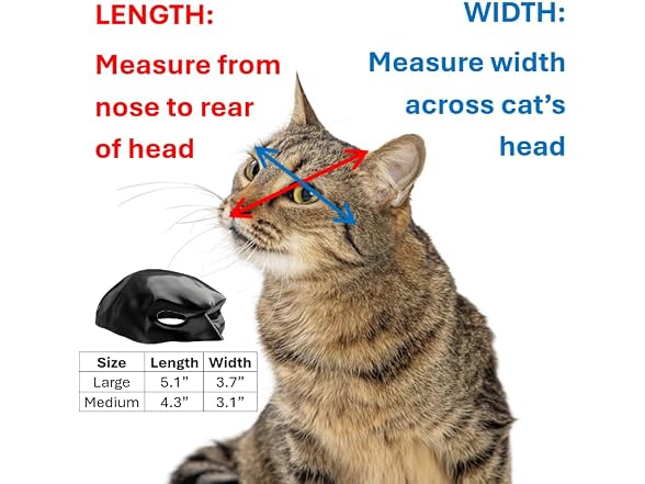 Hambli Cat Bat Mask