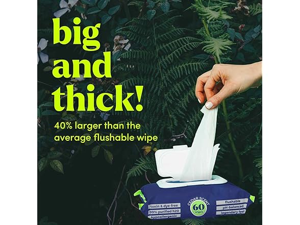 Goodwipes Flushable Butt Wipes Cedar 60ct