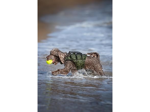 NOAH & PAW Dog Life Jacket- XSmall