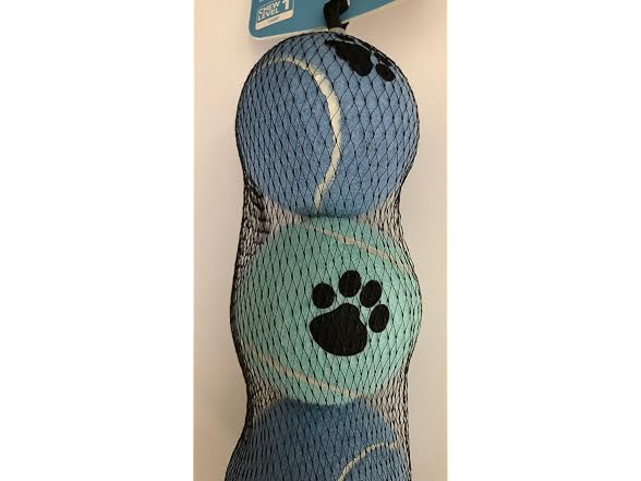 Vibrant Life Fetch Buddy Dog Toys, Medium Siz