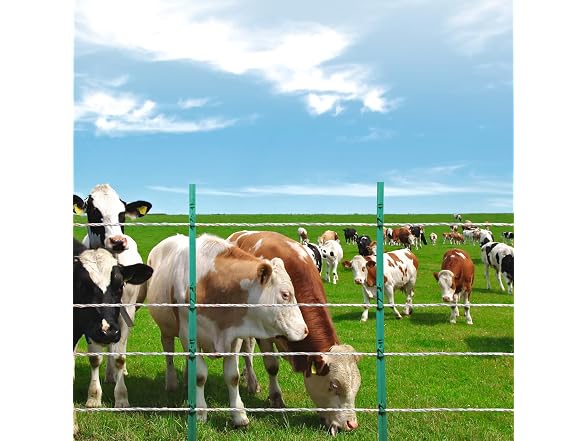 Electric Fence Wire, 2625Ft 800M Portable