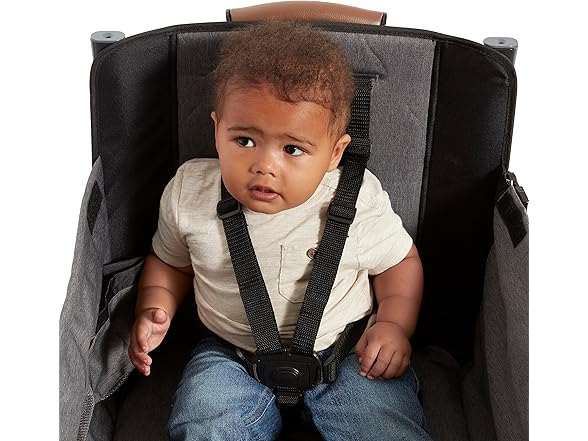 Radio Flyer Atlas Stroller Wagon for Kids