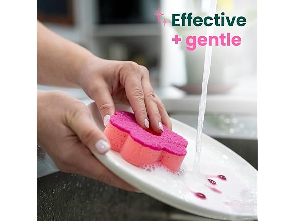 Scotch-Brite Kitchen Sponge Set