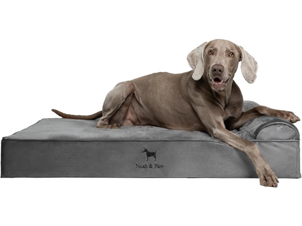 NOAH & PAW Orthopedic Dog Beds- XLarge