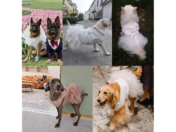 Formal Dog Dresses for Large Dogs White Dog
