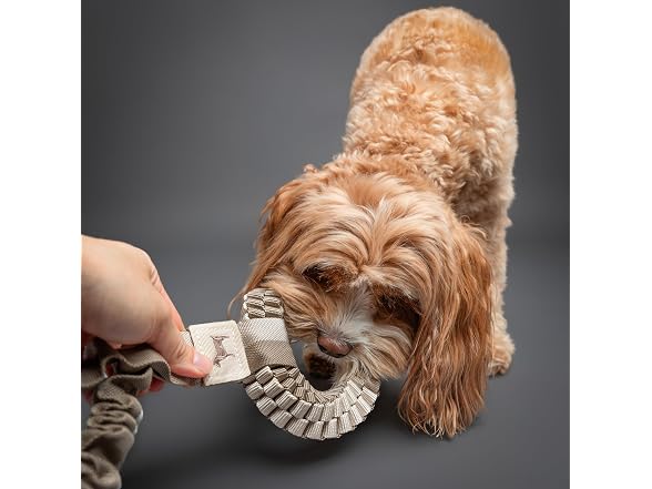 NOAH & PAW Luxury Dog Toy, Dog Rope Toy- Tug Ring, Beige